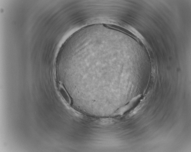 X0000075891144200610062046