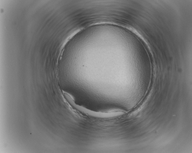 X0000075891145200610062046