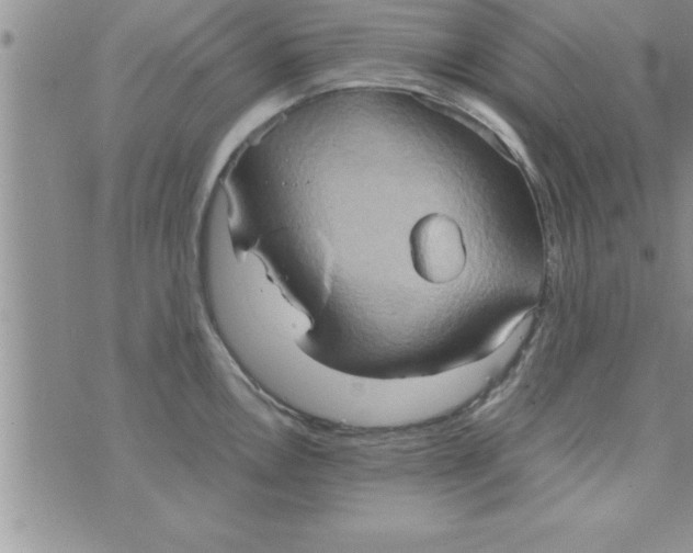 X0000075891146200610062046