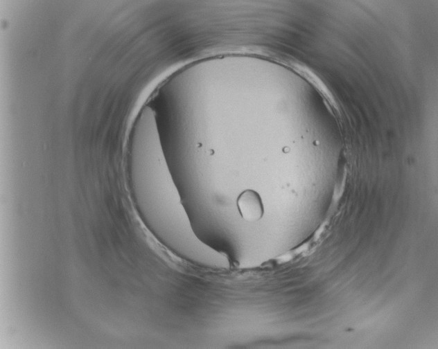 X0000075891148200610062046