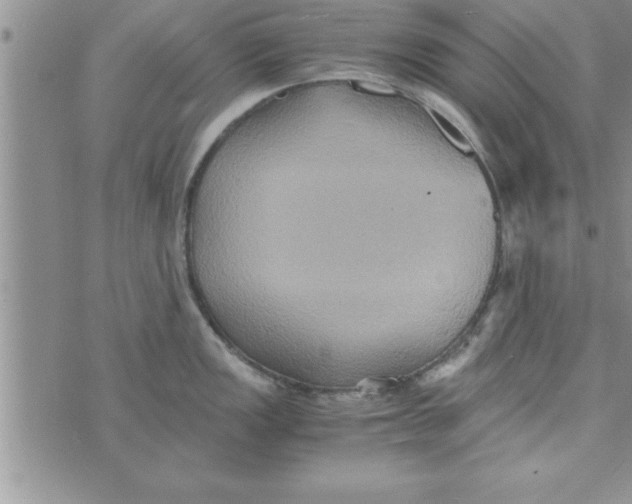 X0000075891149200610062046