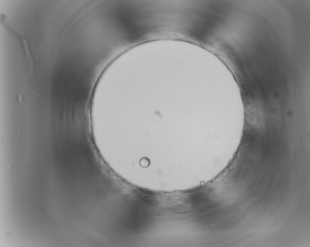 X0000075891150200610062046