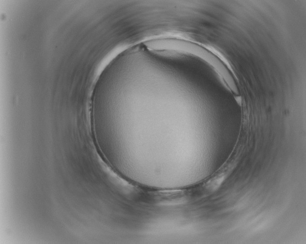 X0000075891151200610062046