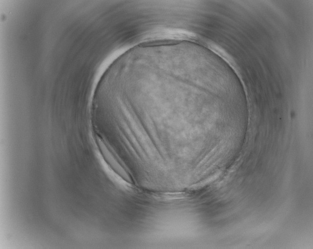 X0000075891152200610062046