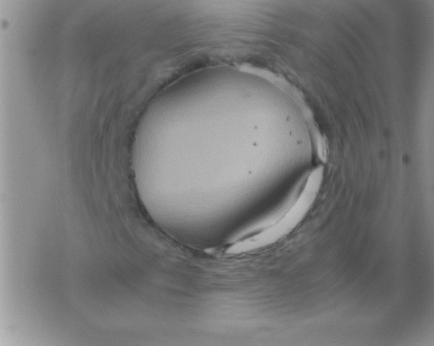 X0000075891153200610062046