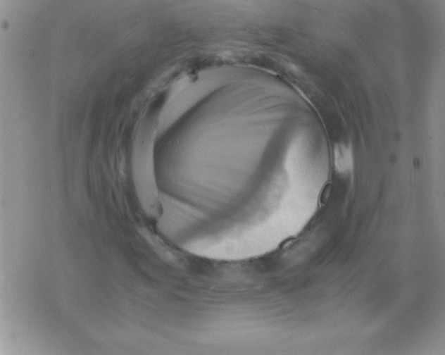 X0000075891155200610062045