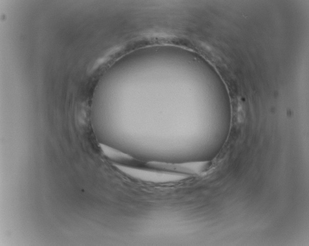 X0000075891157200610062045