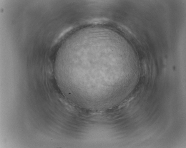 X0000075891158200610062045