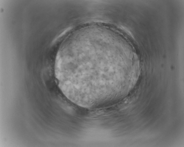 X0000075891159200610062045