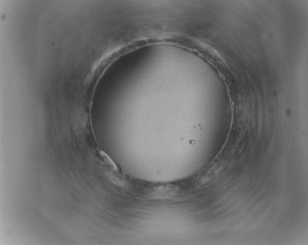 X0000075891160200610062045