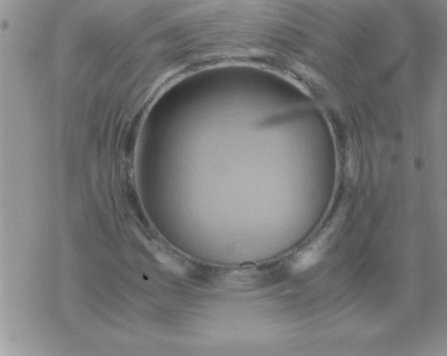 X0000075891161200610062045