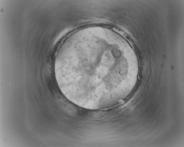 X0000075891163200610062045