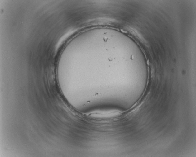 X0000075891164200610062045