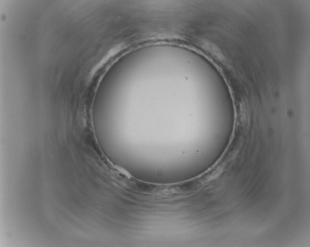 X0000075891165200610062045