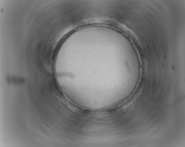 X0000075891166200610062045