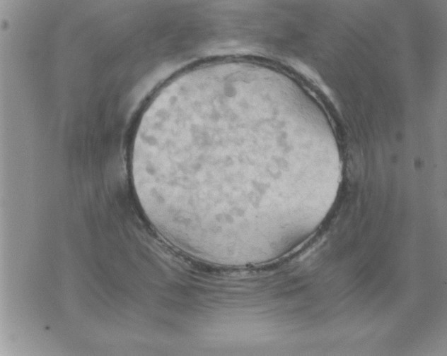 X0000075891167200610062045