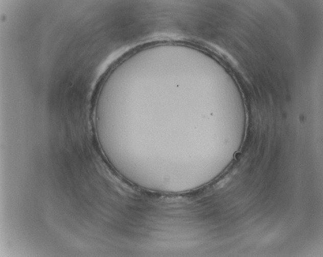 X0000075891168200610062045