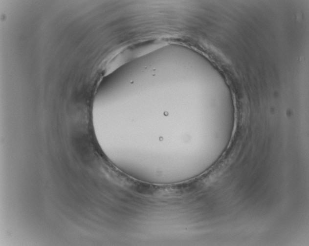 X0000075891169200610062045