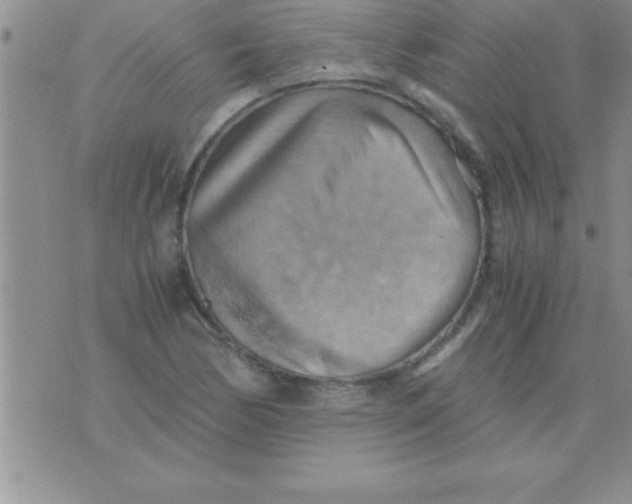 X0000075891170200610062045