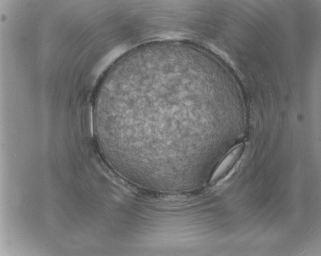 X0000075891171200610062045