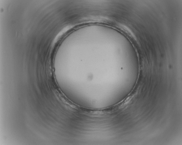 X0000075891172200610062045