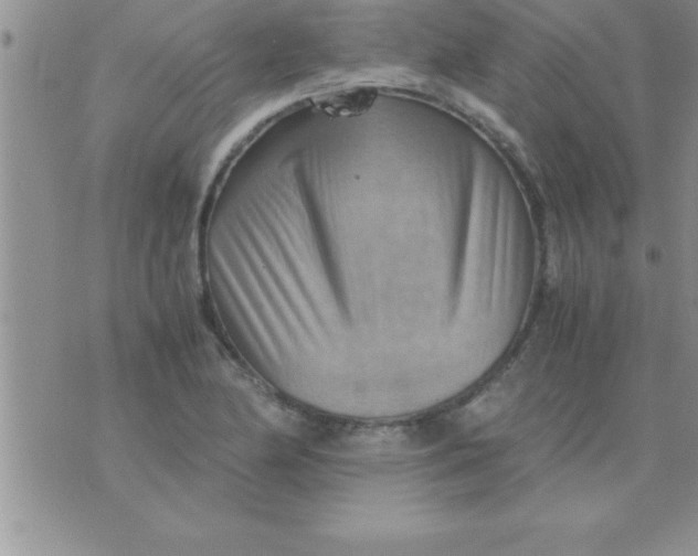 X0000075891174200610062045