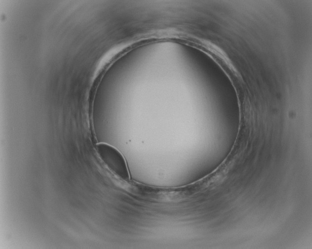 X0000075891176200610062045