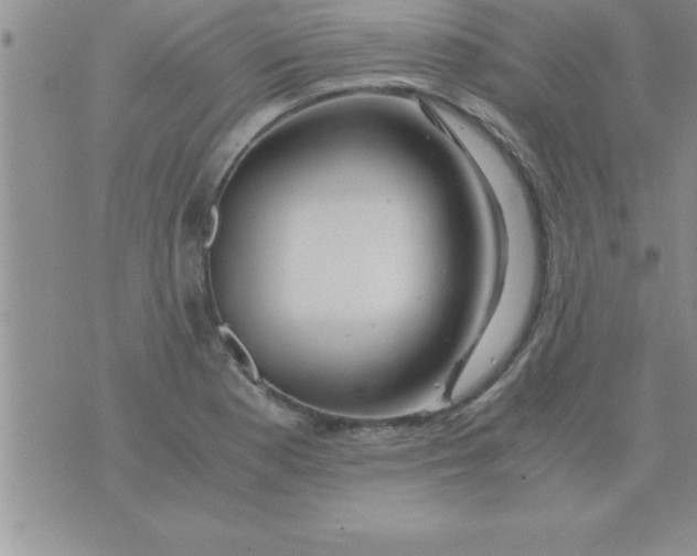 X0000075891177200610062045