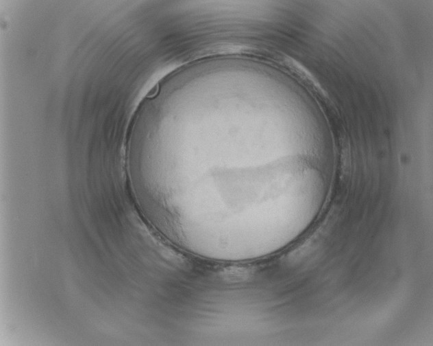 X0000075891178200610062045