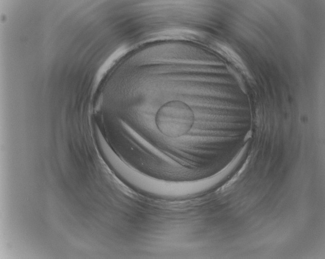 X0000075891180200610062045