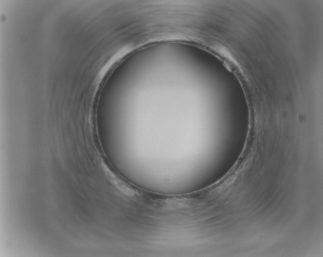 X0000075891181200610062045