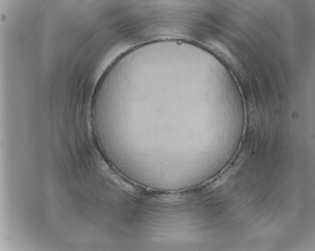 X0000075891182200610062045