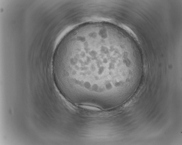 X0000075891183200610062045