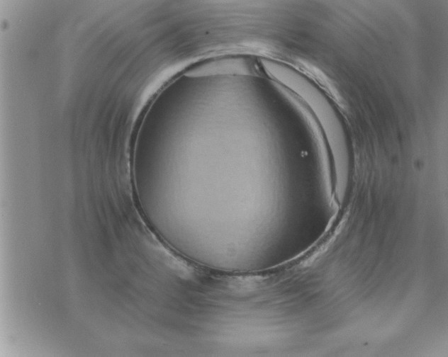 X0000075891184200610062045