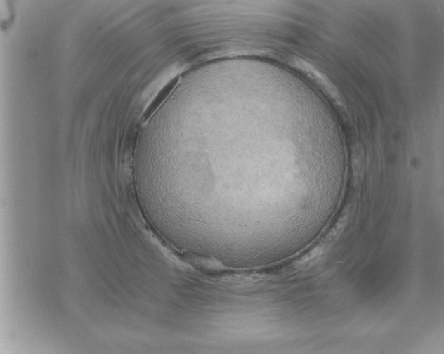 X0000075891185200610062045