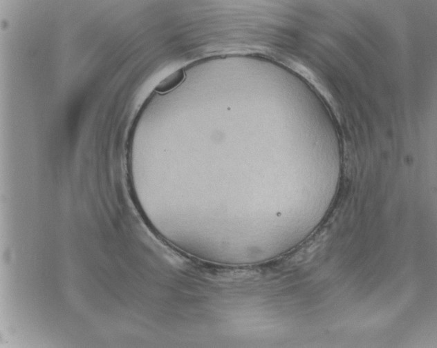 X0000075891187200610062045