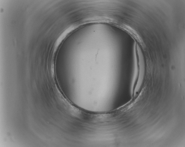 X0000075891188200610062045