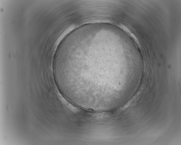 X0000075891189200610062045