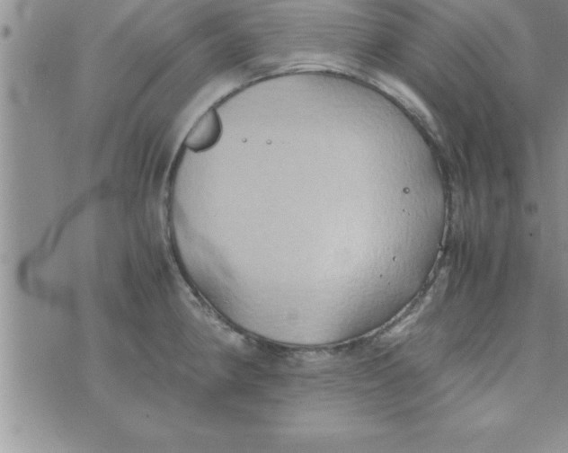 X0000075891190200610062045