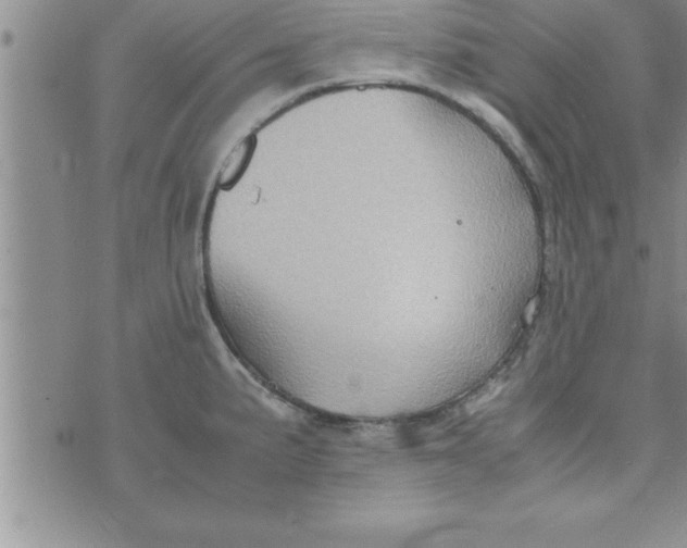 X0000075891191200610062045