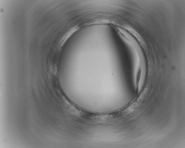 X0000075891193200610062045