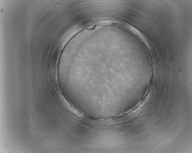 X0000075891194200610062045