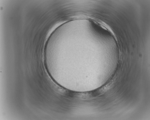 X0000075891195200610062045