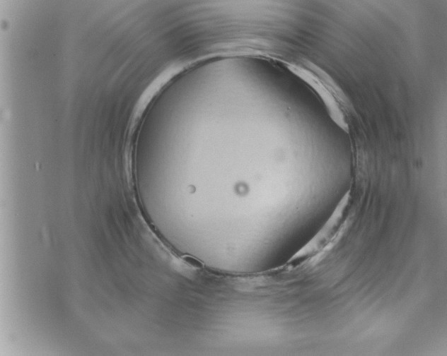 X0000075891196200610062045