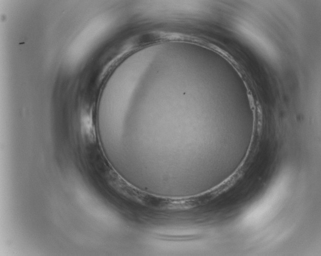 X0000075891198200610062045