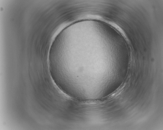 X0000075891199200610062045