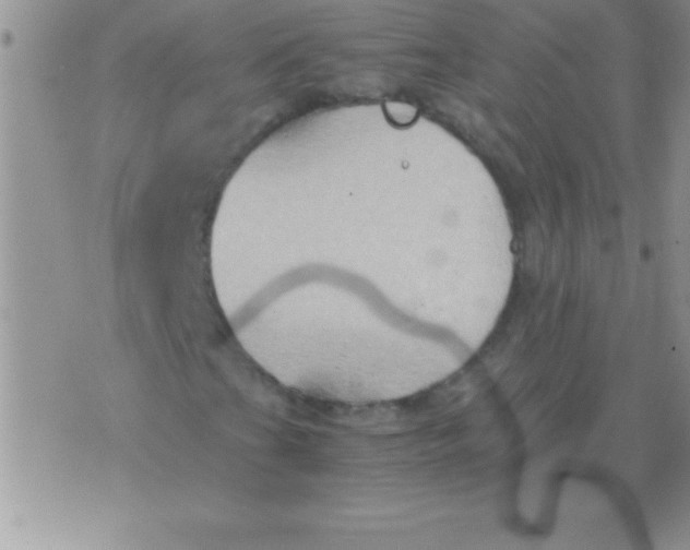 X0000075891201200610062044