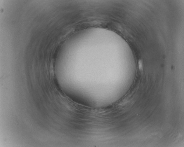 X0000075891203200610062044