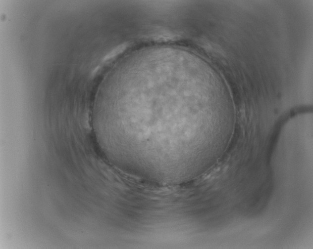 X0000075891205200610062044