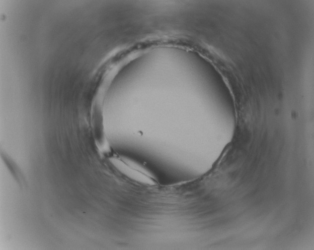 X0000075891206200610062044